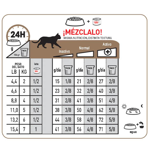 royal-canin-ageing-12-wet