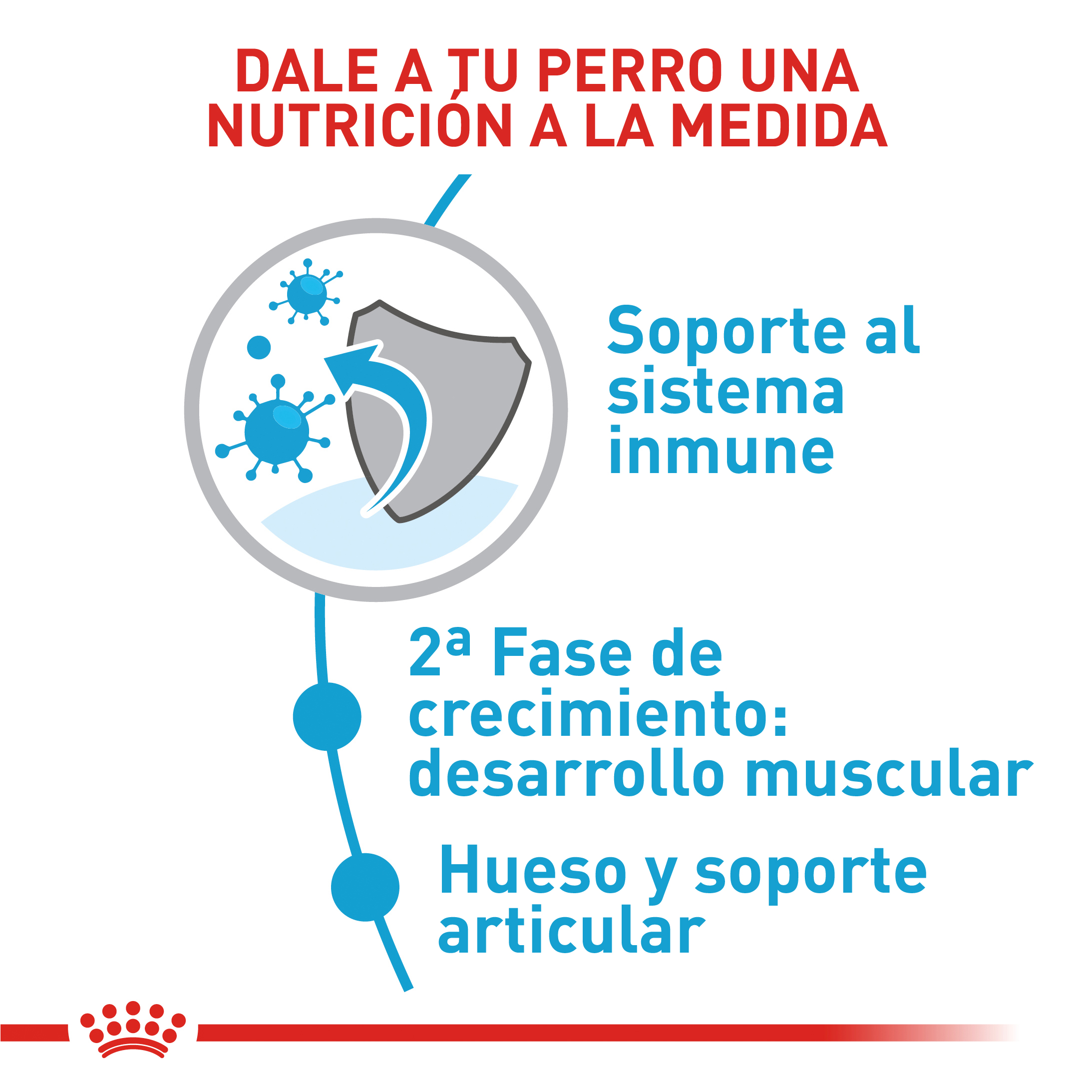 royal-canin-giant-junior