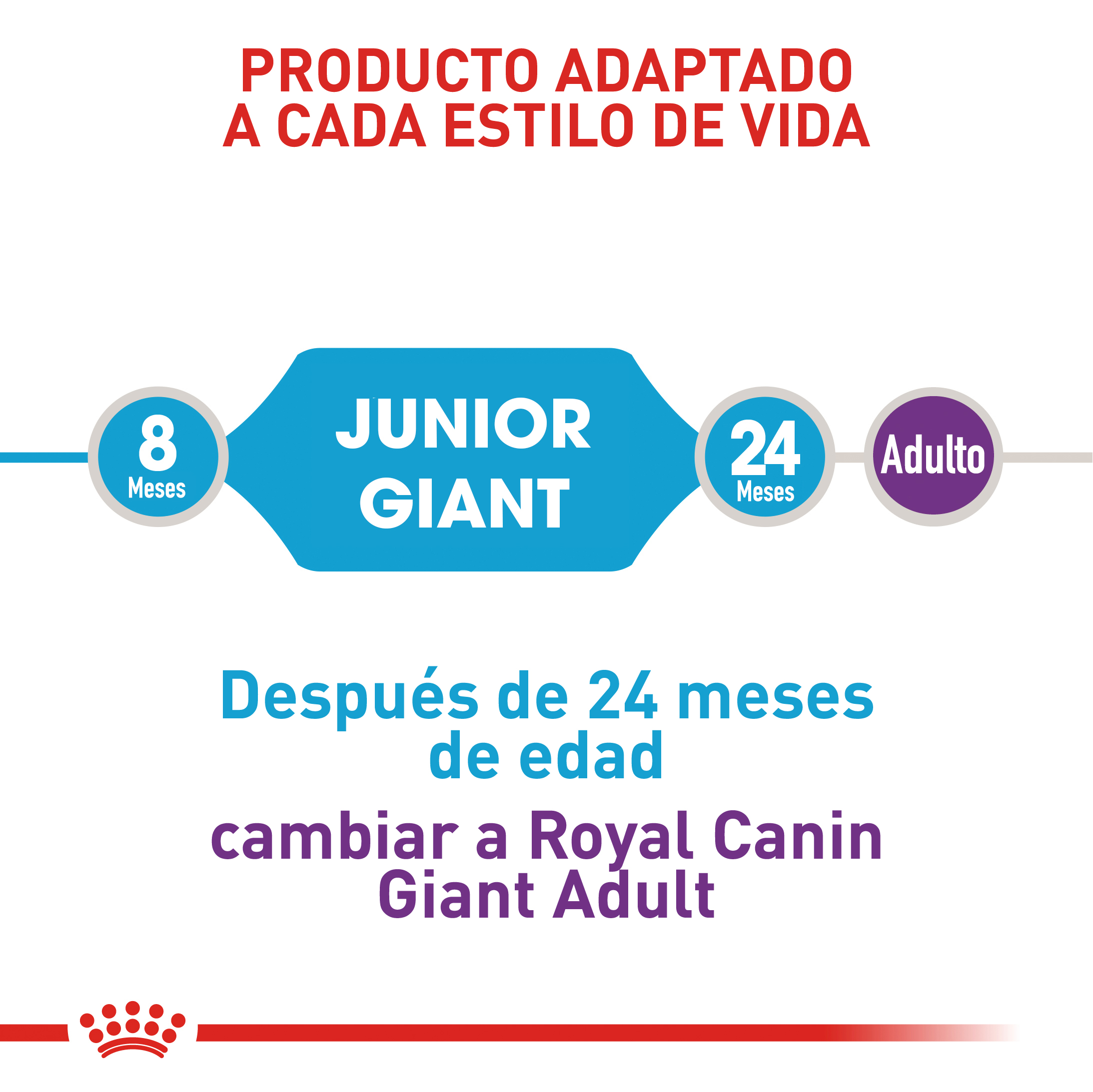 royal-canin-giant-junior