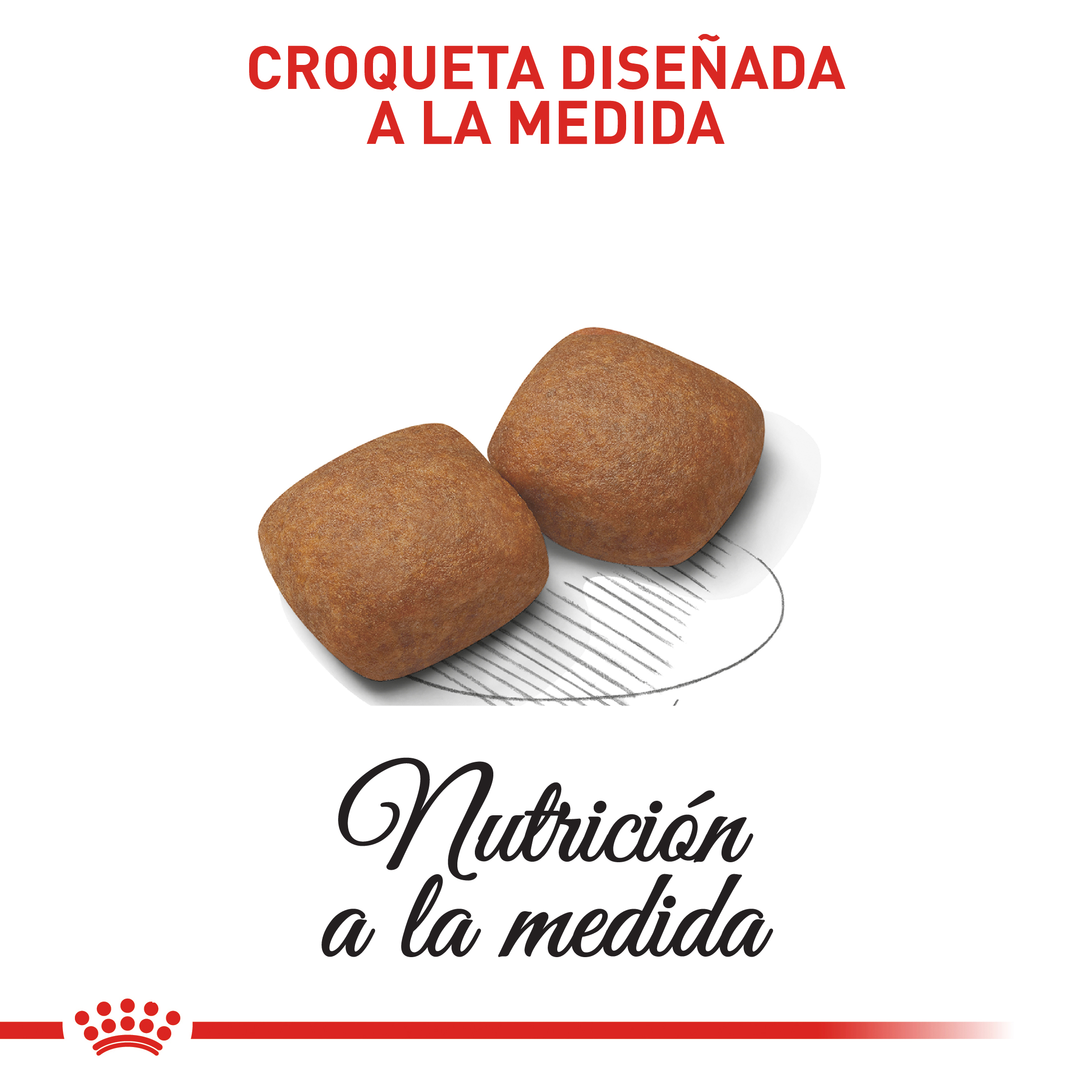 royal-canin-giant-junior