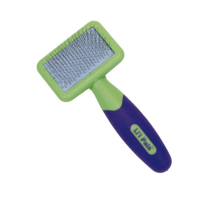 Lil Pals Gato Grooming Cepillo