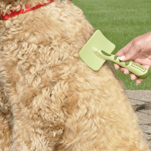 safari-cepillo-para-perros-de-pelo-corto