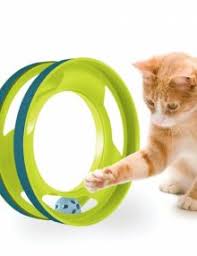 Petstages Gato Gimnasio Ring Track