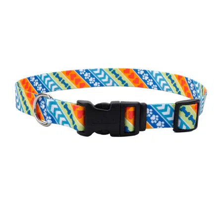 Coastal - Collar Gato Fashion