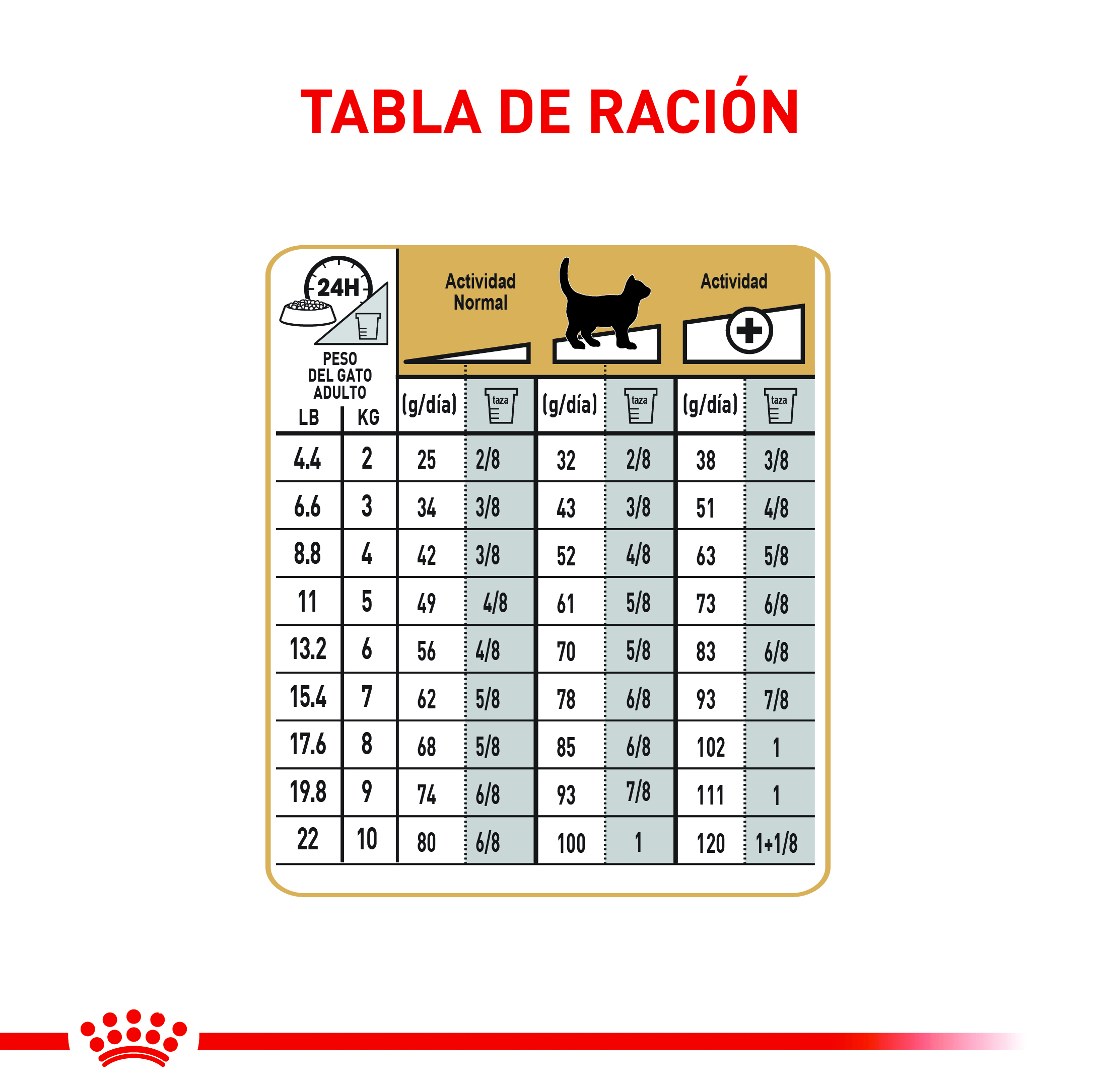royal-canin-ragdoll-adult-feline