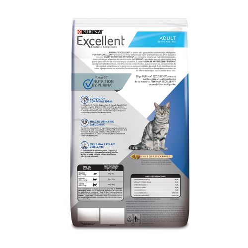 excellent-adult-cat