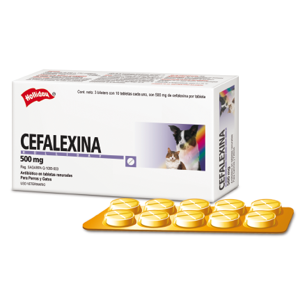 Over - Cefalexina 500 Mg