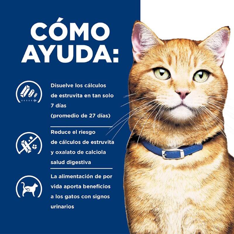 hills-prescription-diet-cd-multicare-chicken-cat
