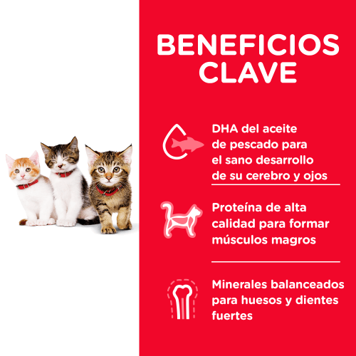 hills-science-diet-kitten
