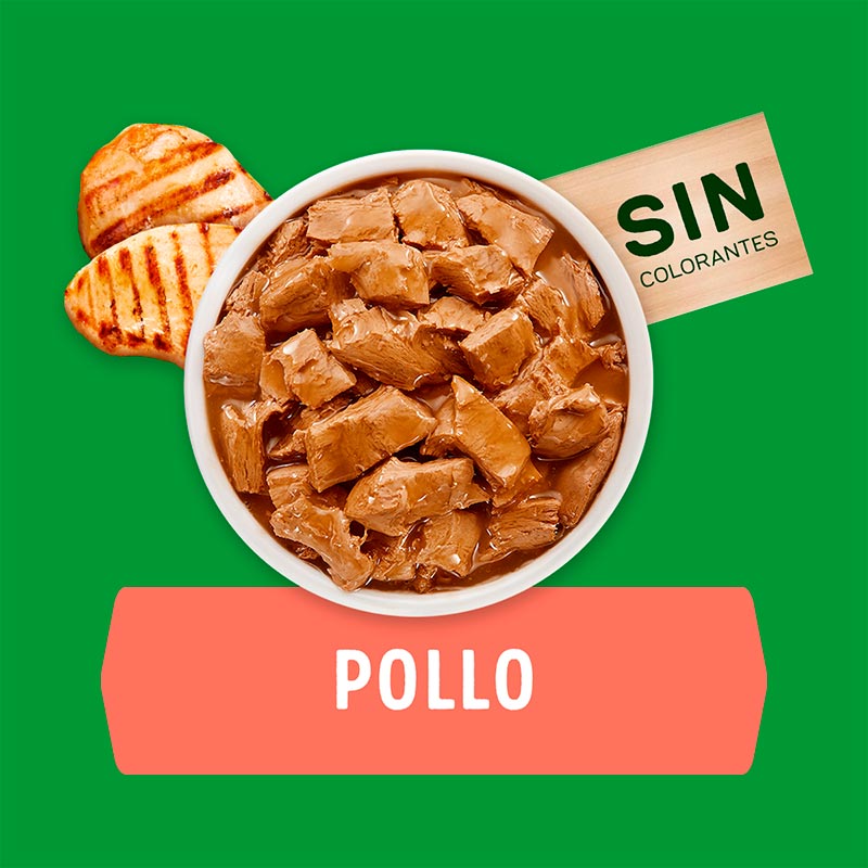 dog-chow-adultos-todos-los-tamanos-pollo