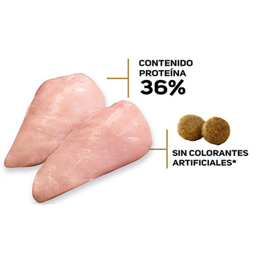 purina-pro-plan-adulto-optiprebio