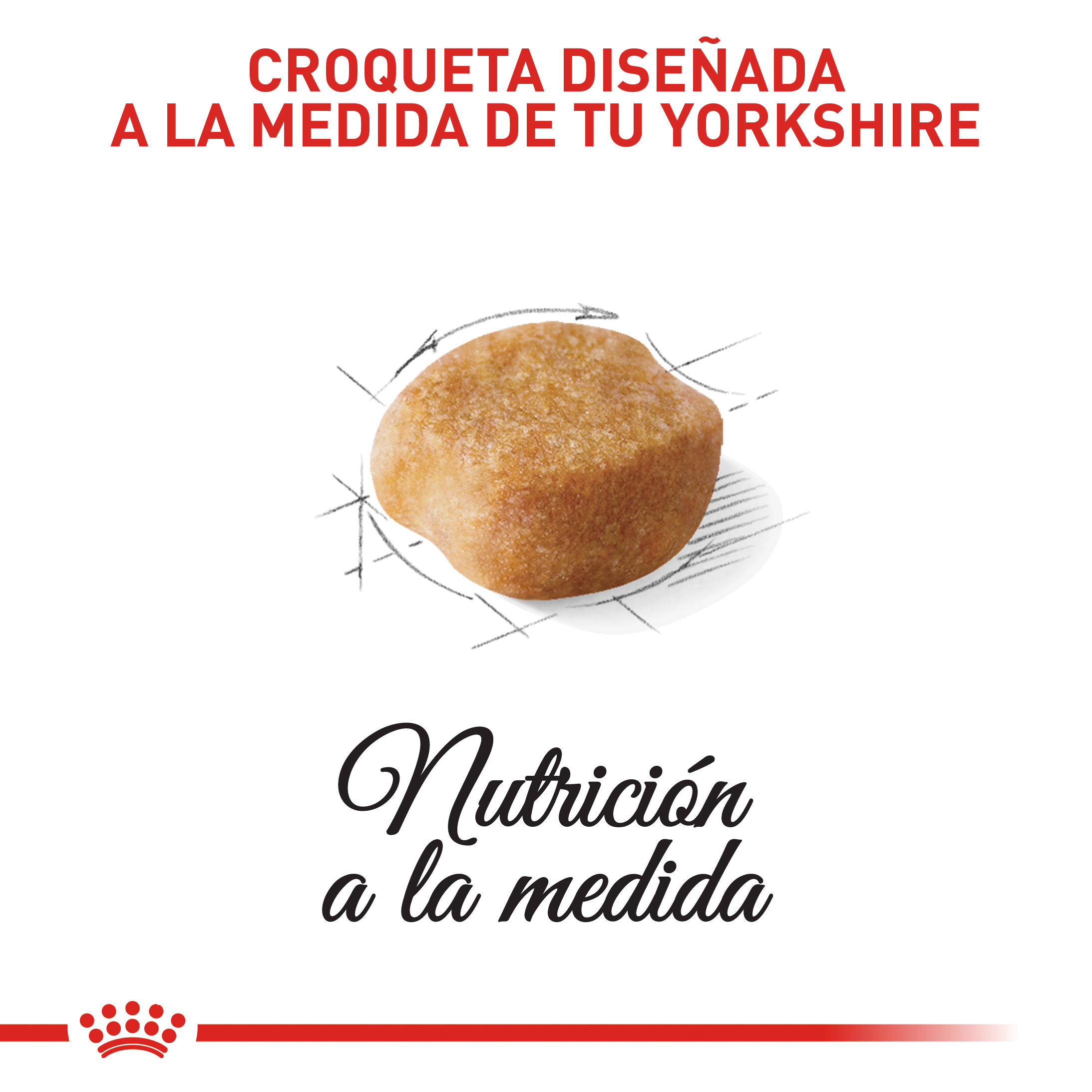 royal-canin-yorkshire-terrier-adulto
