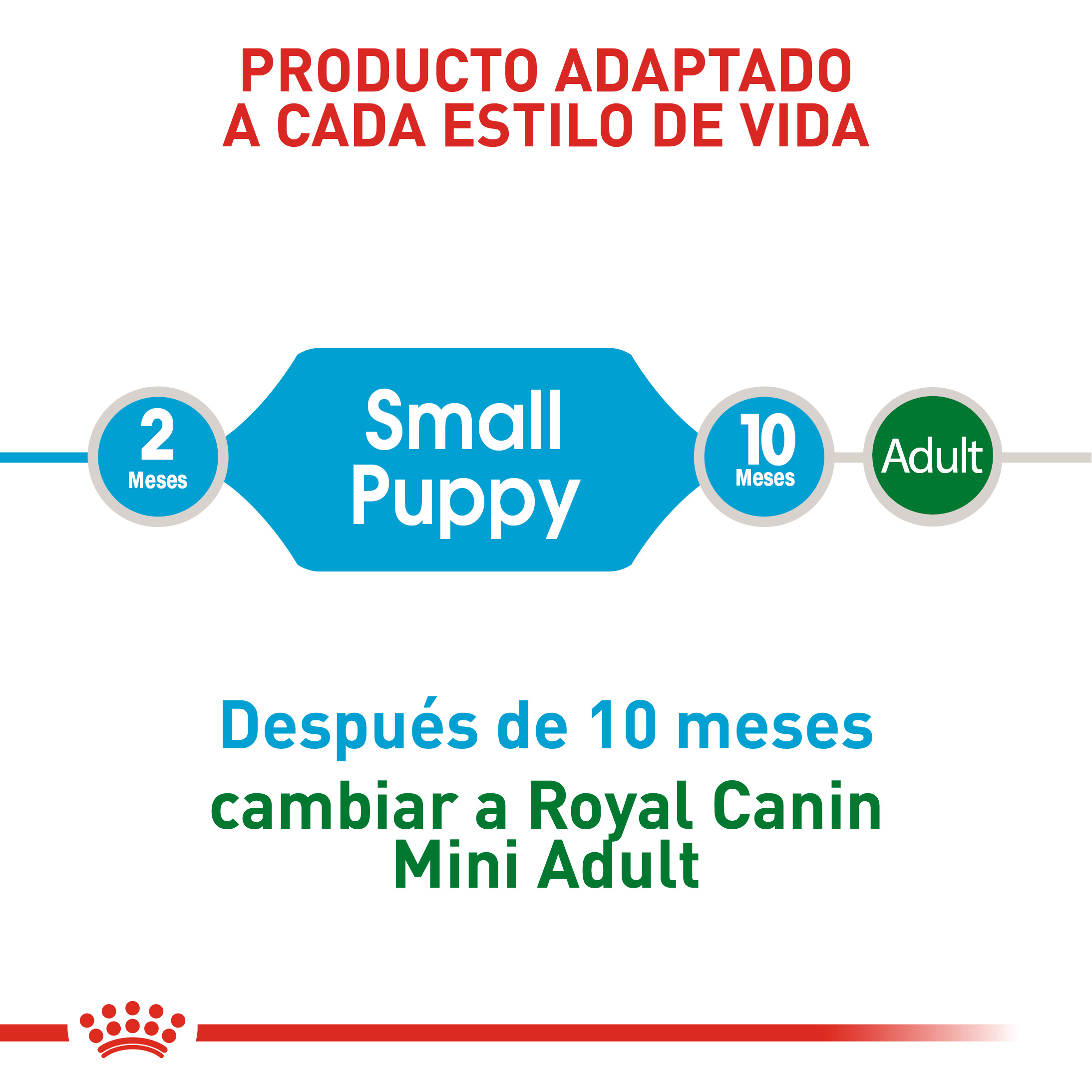 royal-canin-mini-puppy