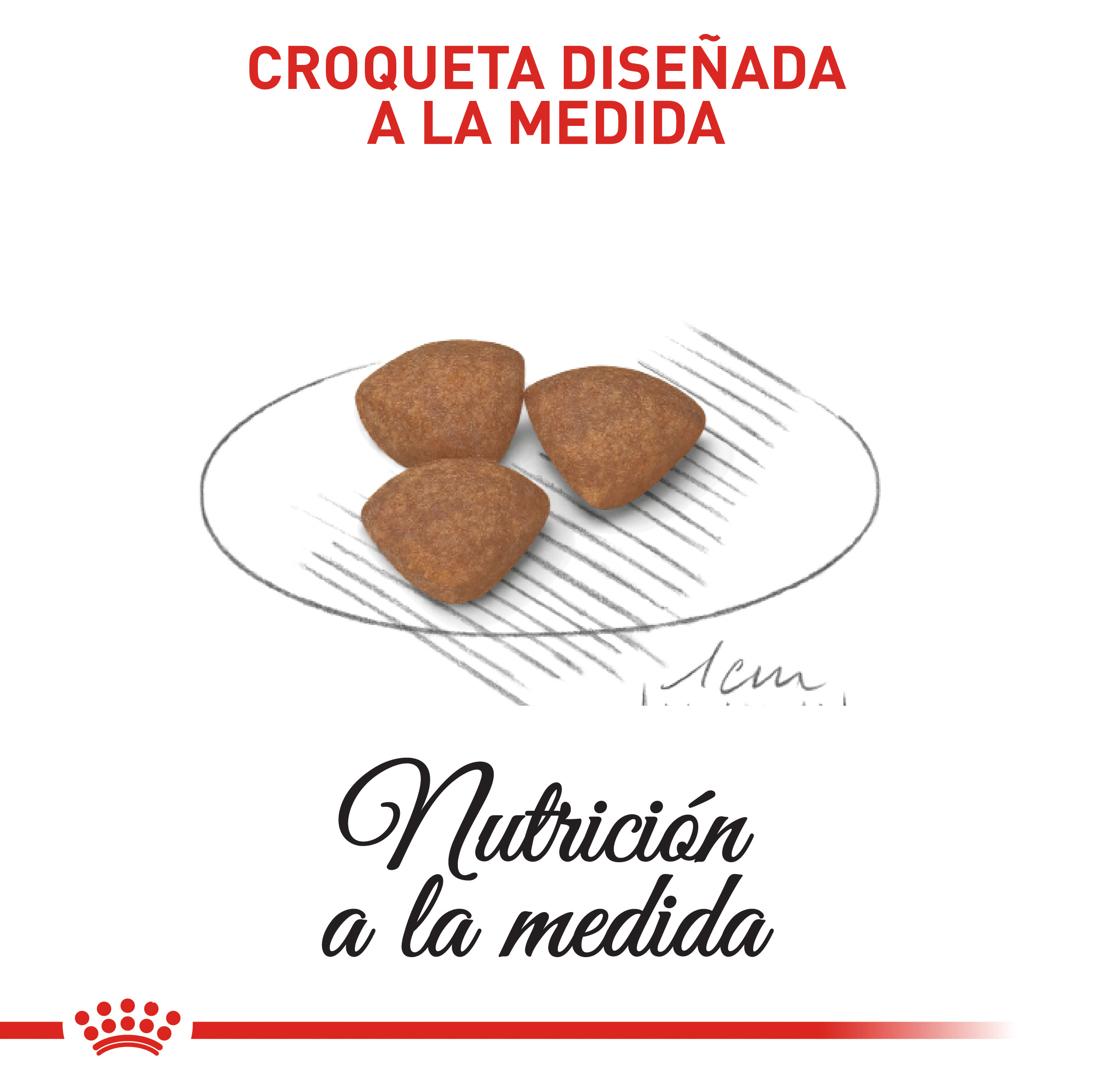 royal-canin-mini-puppy
