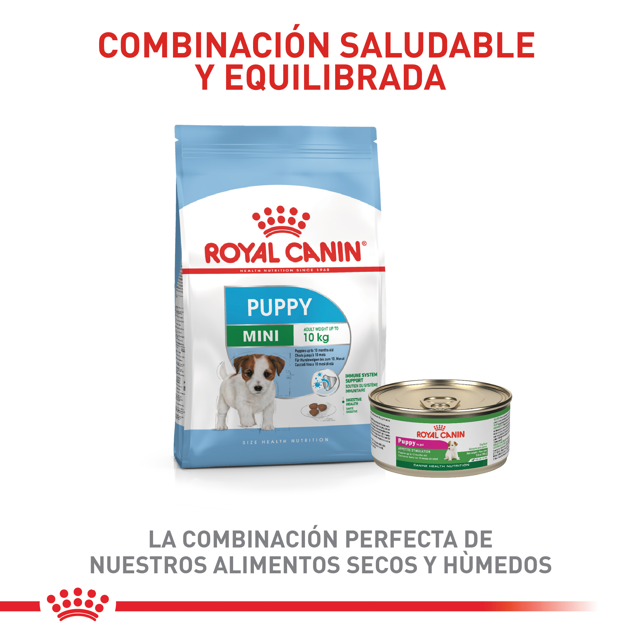 royal-canin-mini-puppy