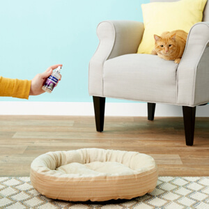 feliway-spray-calmante-gatos