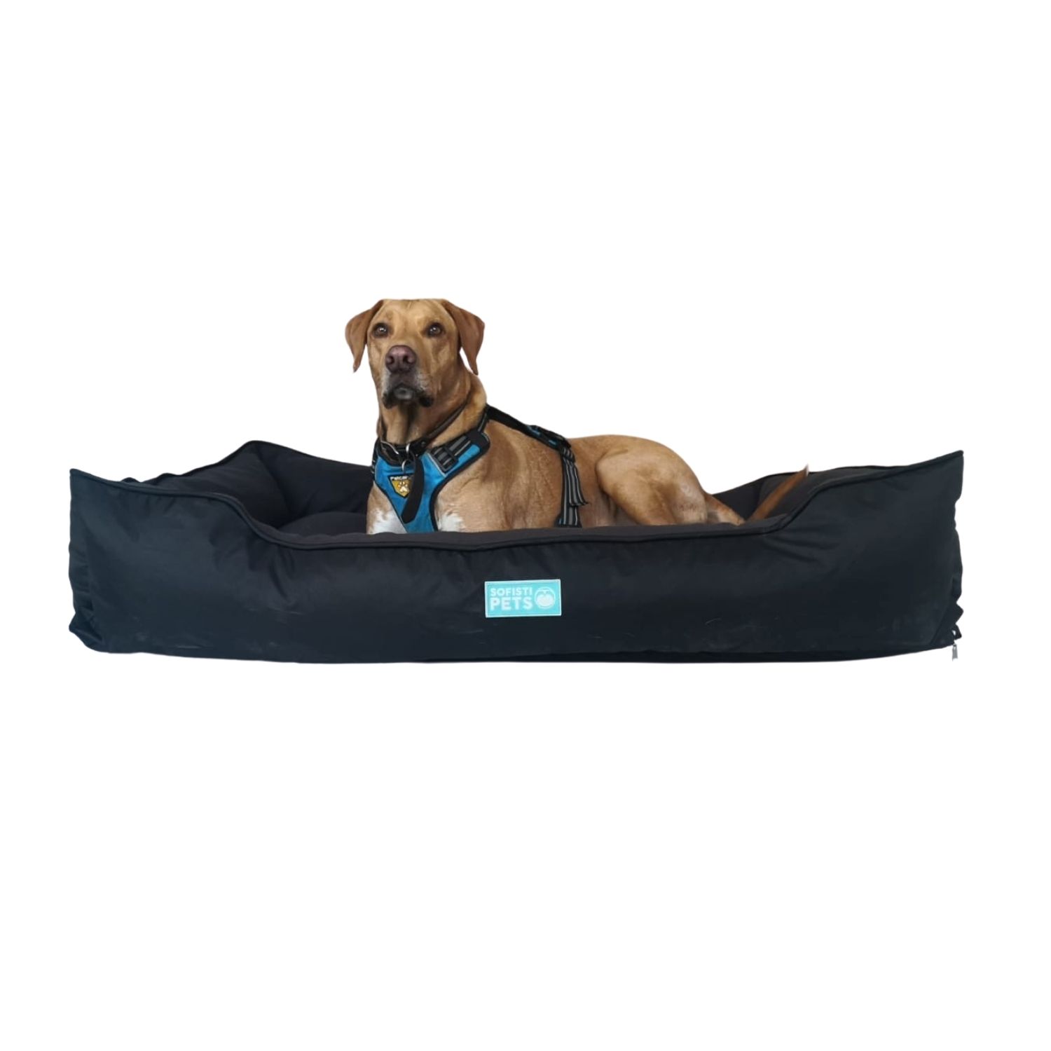 SofistiPets Cama Soft Doble Faz