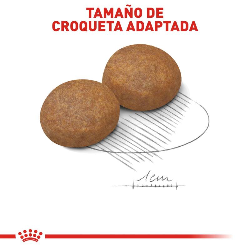 royal-canin-alimento-seco-para-perro-adulto-talla-mediana