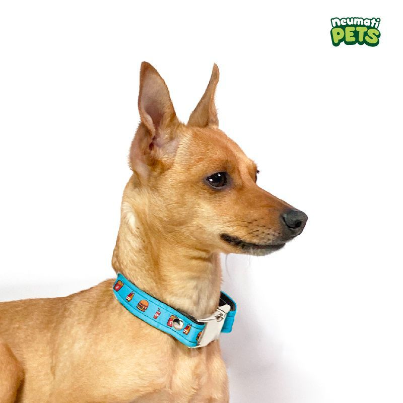 neumatipets-collar-ecologico-diseno-hamburguesa