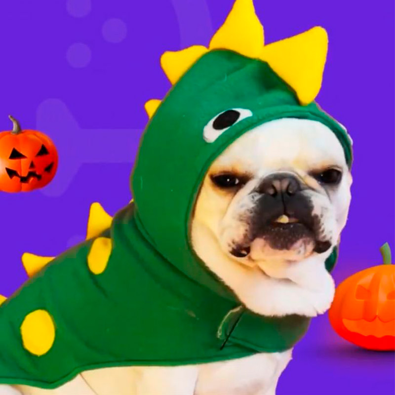 balu-disfraz-mascota-dinosaurio