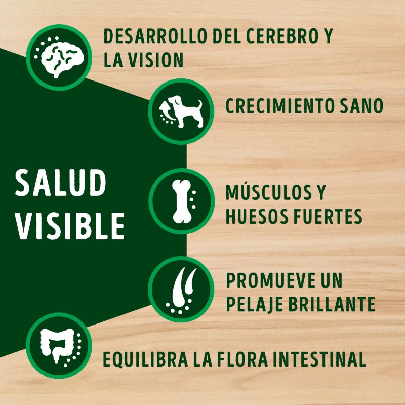 dog-chow-salud-visible-cachorros-medianos-y-grandes