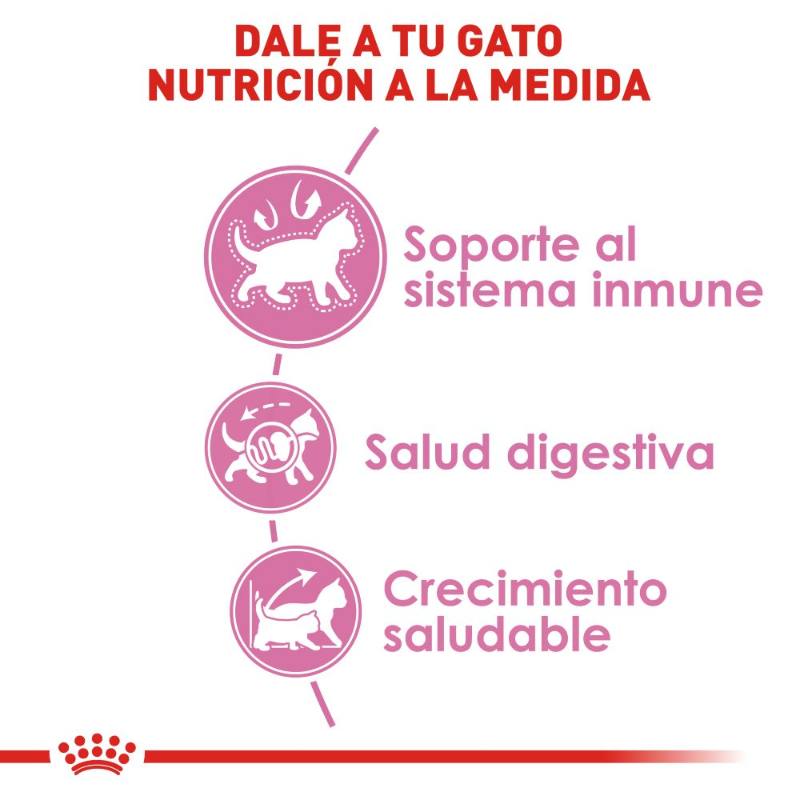royal-canin-alimento-seco-para-minino-kitten