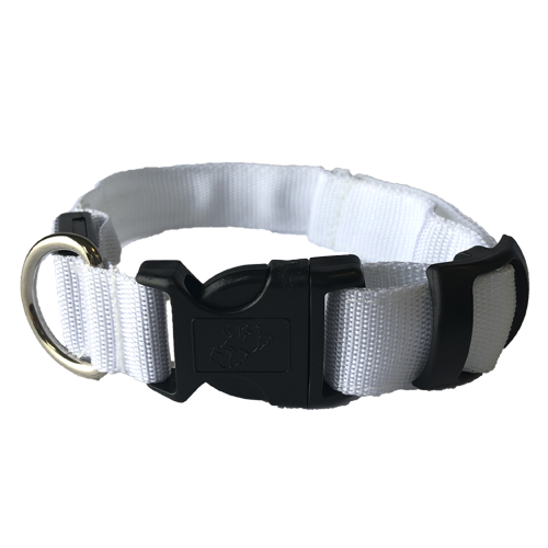 Elite - Collar Liso de Led Blanco