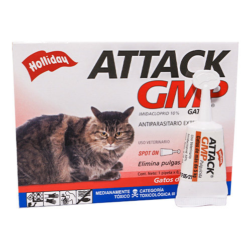 attack-gatos