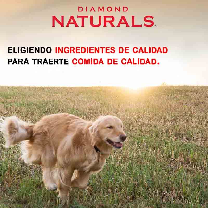 diamond-naturals-lamb-meal-rice