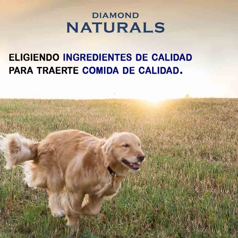 diamond-naturals-adult-small-breed