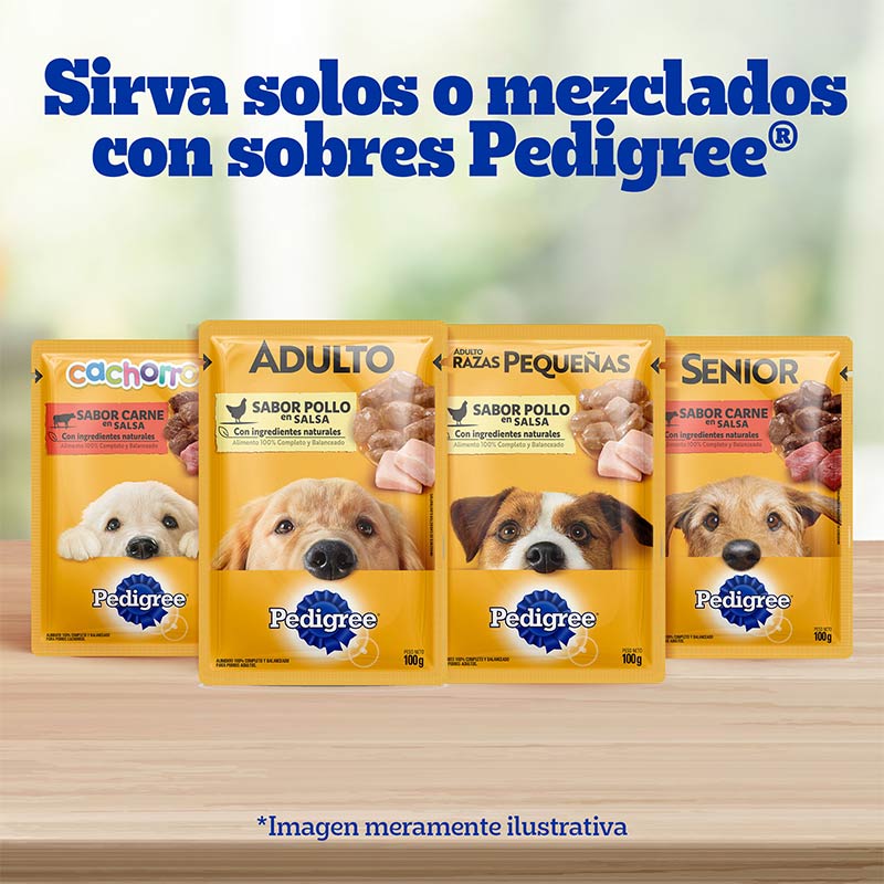 pedigree-alimento-seco-para-perro-adulto-mayor-7-anos