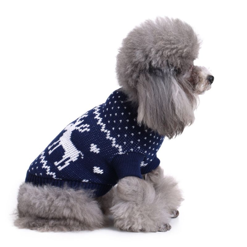 valentin-for-pets-sueter-azul-navideno