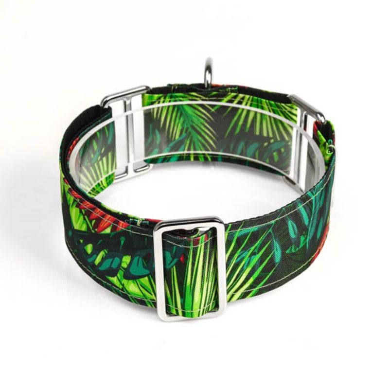 bellcher-collar-martingale-amazonas-25-cm