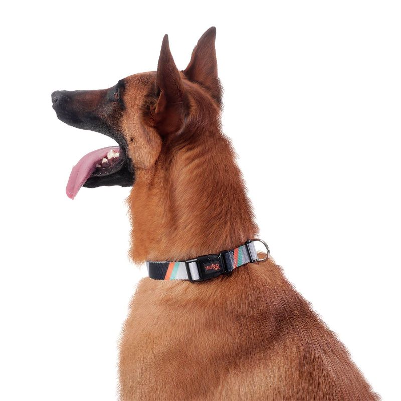 totto-pets-collar-ajustable-perro-mylu-gris