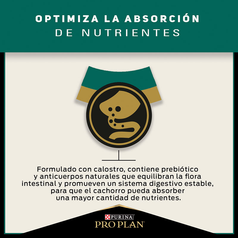 pro-plan-dog-puppy-optistart-raza-pequena