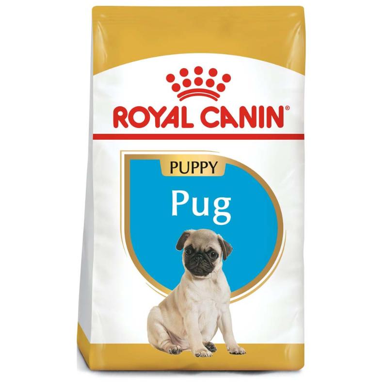 royal-canin-pug-cachorro