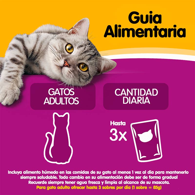 whiskas-alimento-humedo-sobrecito-gato-pollo-en-salsa