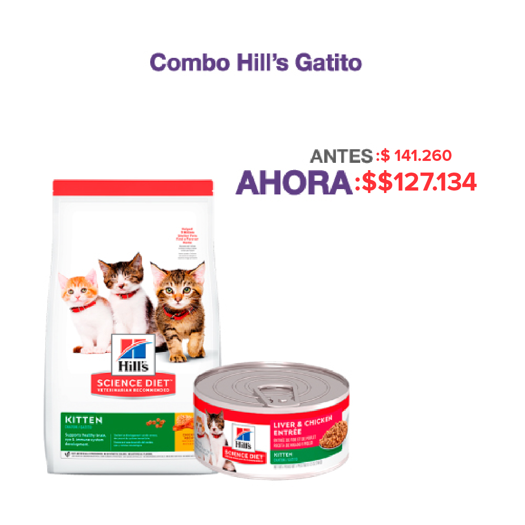 Hills - Combo Hills Gatito