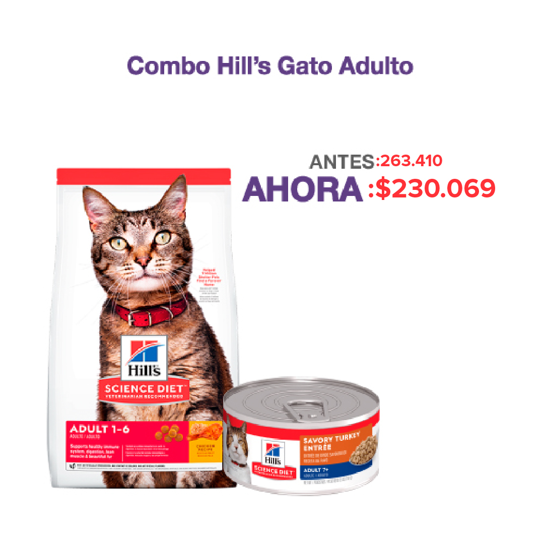 Hills - Combo Gato Adulto