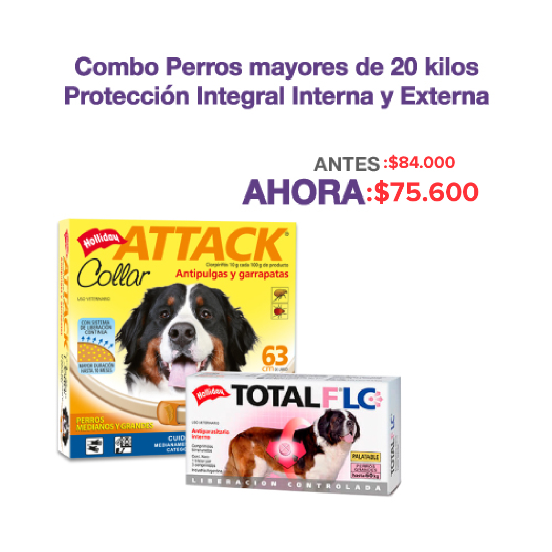 Attack - Combo Perros  20Kg Protección Integral Interna Y Externa