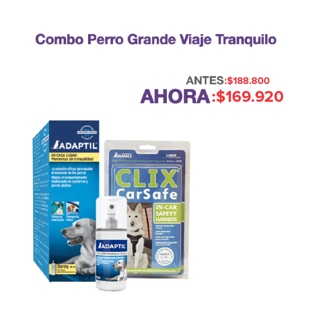 COMBO PERRO GRANDE VIAJE TRANQUILO