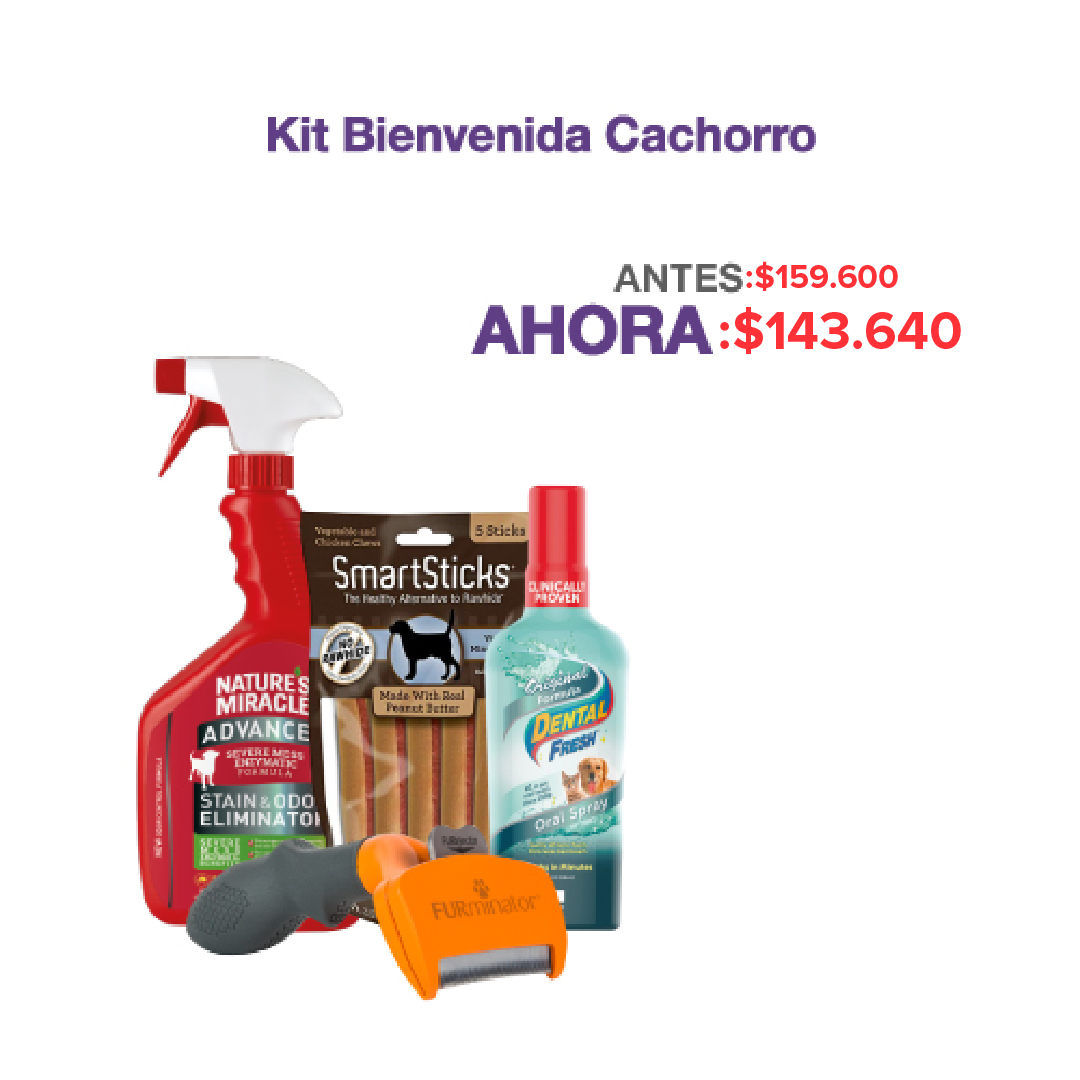 COMBO KIT BIENVENIDA CACHORRO
