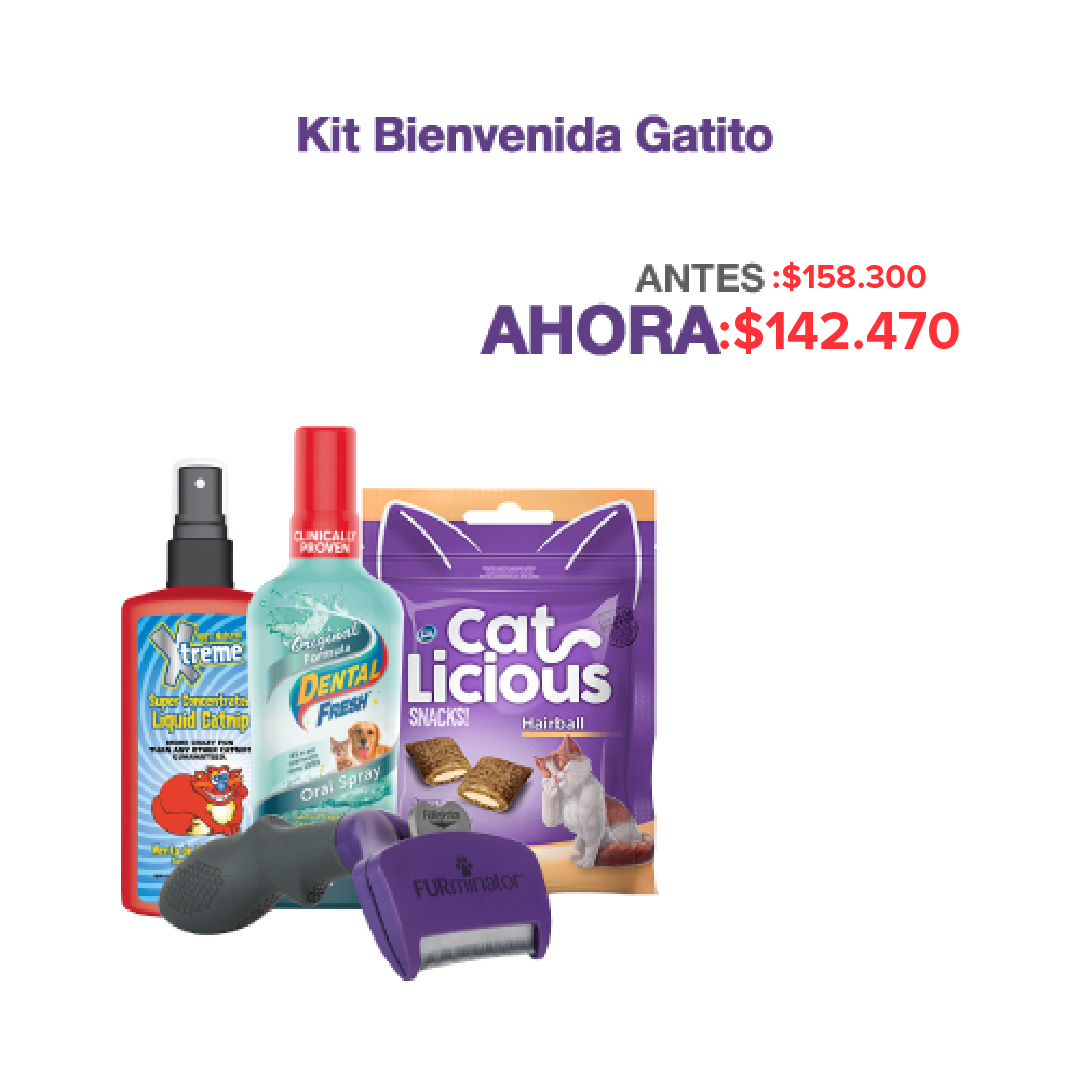 COMBO KIT BIENVENIDA GATITO