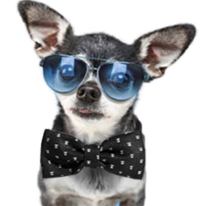 ZeeDog - Skull Bow Tie.