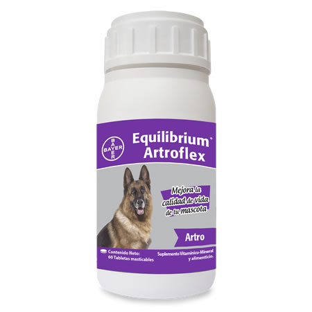 Equilibrium Artro