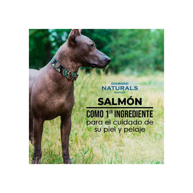 diamond-naturals-skin-coat-salmon-y-potato