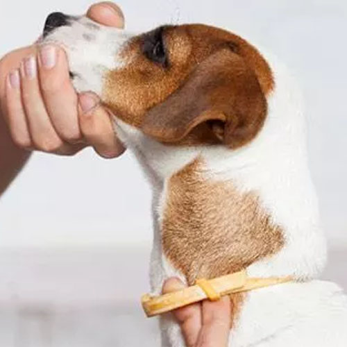 ourofino-leevre-collar-antipulgas-perros