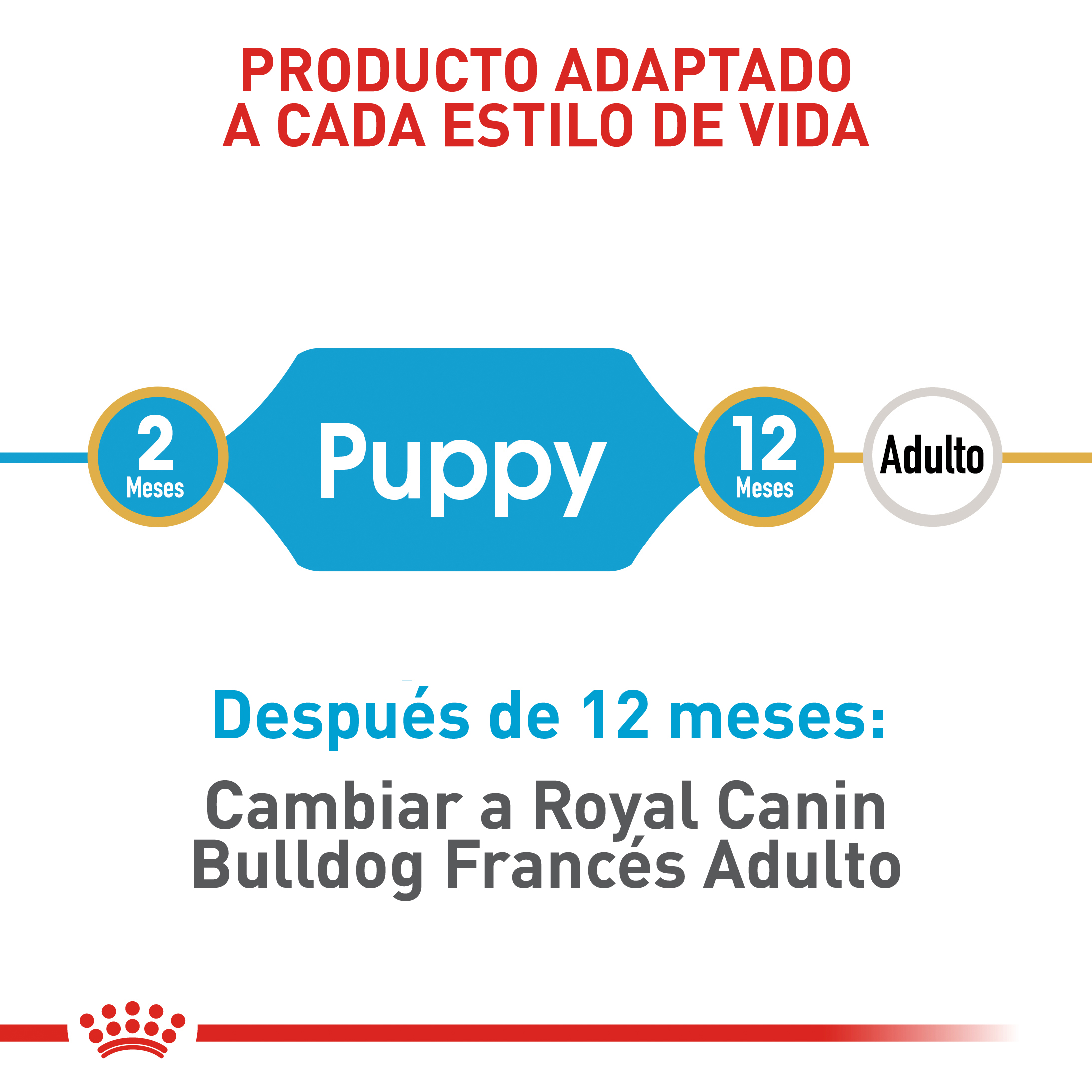 royal-canin-bulldog-frances-puppy