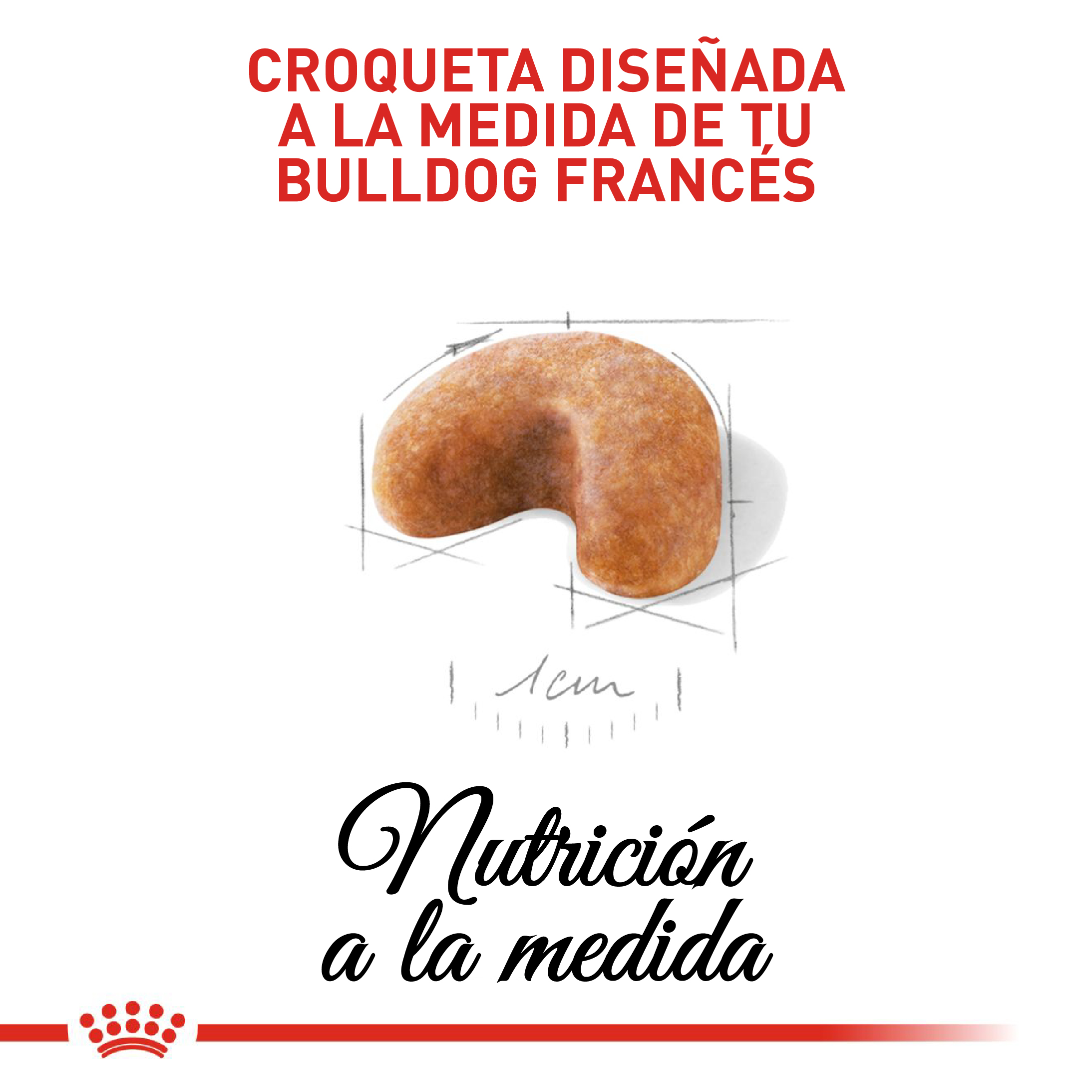 royal-canin-bulldog-frances-puppy