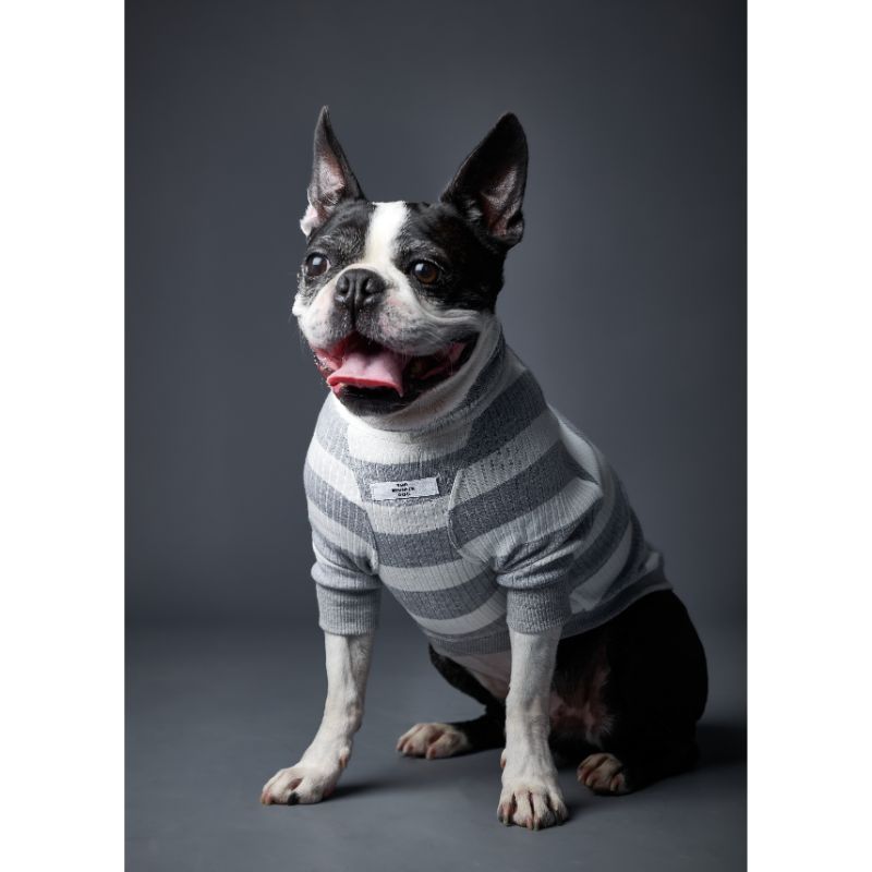 the-striped-dog-sueter-rayas-cuello-tortuga